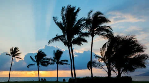 4k Time-lapse Photography with Sunset on Hawaiian beach Stock-Footage 24454546
