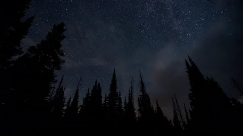 4K Time lapse of pines below the milky way galaxy rotating around the north star 스톡 동영상 76971327
