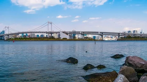 4k Time lapse of Rainbow bridge in Odaiba, Tokyo, Japan Stock-Footage 113263911