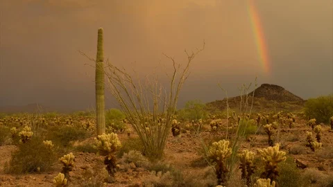 4K Time Lapse Of A Rainbow Forming During A Thunderstorm In The Sonoran Desert Stock Footage 124031527