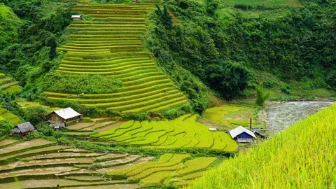 4K time lapse of rice terraces in Mu Cang Chai, Vietnam Stock Footage 87497599