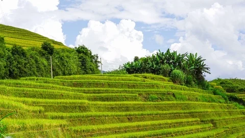 4K time lapse of rice terraces in Mu Cang Chai, Vietnam Stock Footage 87499239