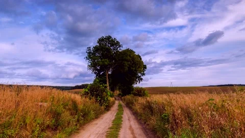 4k time lapse with sandy road through wild meadows in Poland. Stock Footage 155754444