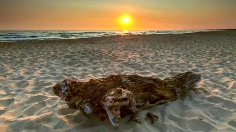 4k time lapse with sandy sea shore and old driftwood. Stock Footage 154765590
