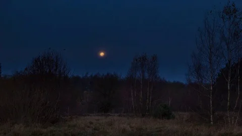 4k time-lapse with setting Moon and autumnal morning Stock Footage 82712798