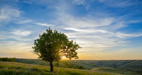 4K Time Lapse.The setting sun sits behind the tree top among the hills in summer Stock Footage 105023244