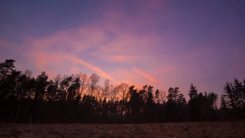 4k Time lapse of spectacular after sunset sky over summer meadow and forest Stock Footage 88521179
