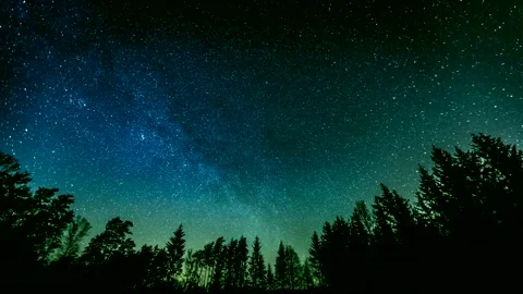 4k time lapse with starry sky moving over forest. Stock Footage 154494559