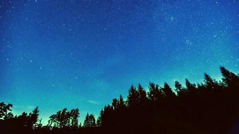 4k time lapse with starry sky and moonlight over forest. Stock Footage 155754257