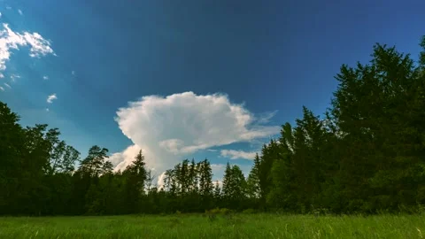 4k time lapse with storm cloud forming over meadow and forest. Stock Footage 155023406