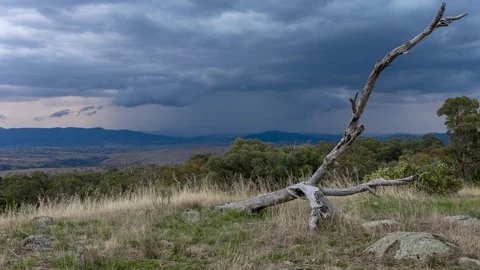 4K Time lapse of storm passing over forest in australian outback Vídeo Stock 108869121