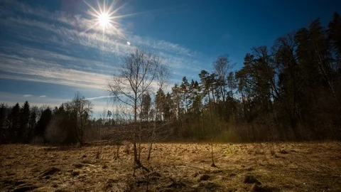 4k time-lapse with sun moving over withered meadow and forest Stock Footage 87766509