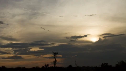 4K Time lapse of sunset at the Amazon forest Stock Footage 89515100