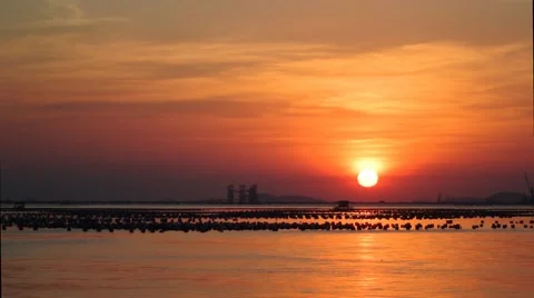 4K time lapse of sunset at ferry boat services Stock Footage 58667680