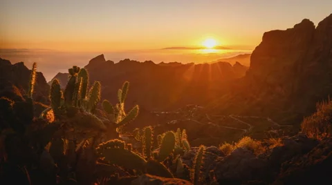 4K Time Lapse Sunset Mountains Cactus Clouds Video stock 66803224