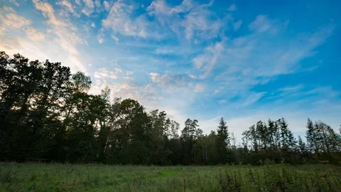 4k time-lapse of sunset sky over forest. Stock Footage 80700468