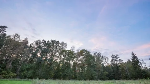 4k time-lapse of sunset sky over forest. Video stock 80700545
