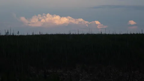 4K time lapse of a sunset thunderstorm over a Yellowstone National Park forest Stock Footage 215861632