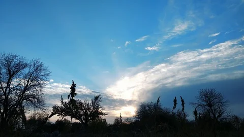 4k Time Lapse of Sunset at Tree National Park, Silhouettes with Sun Stock Footage 97724112