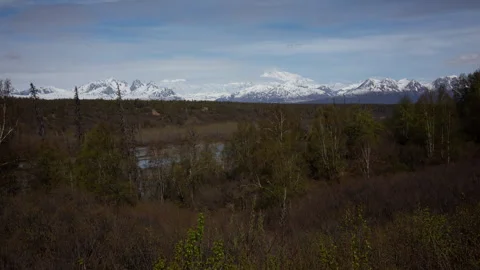 4K Time lapse of taiga forest and low clouds forming on the peak of Denali Stock Footage 243393416