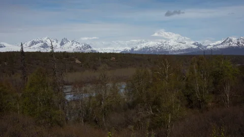 4K Time lapse of taiga forest and clouds slowly obscuring the peak of Denali Stock Footage 243394274