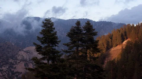 4K Time lapse of trees, sunset sunlight and clouds in the San Gabriel Mountains 스톡 동영상 147896825
