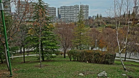 4K Time Lapse: Urban Park with Modern High-Rise Buildings and Cloudy Sky Stock Footage 323967018