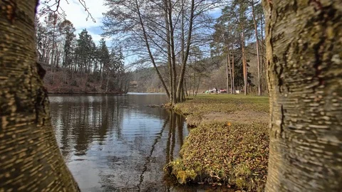 4K time lapse view between the trees on lake Stock Footage 72729401