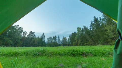 4k time lapse with view from tent placed forest meadow. Stock Footage 161078546
