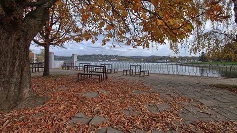 4K Time lapse view to water tank in autumn Stock Footage 72730116