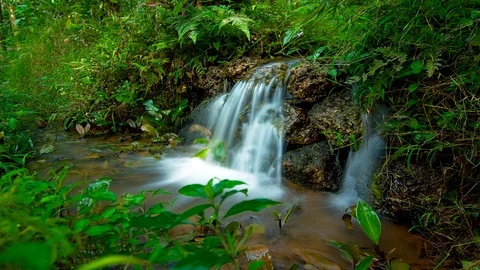 4K time lapse of water stream, Western Ghats, India Stock Footage 99532717