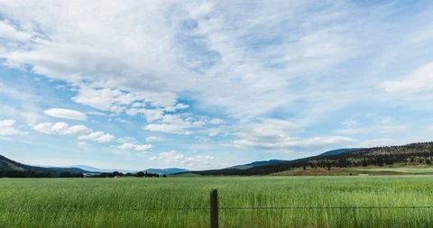 4K Time Lapse of Wind Patterns in Tall Field Grass on Farm in BC, Canada Video stock 90503313