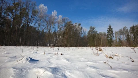 (4k) Time-lapse winter landscape with forest and pasture Stock Footage 72635143