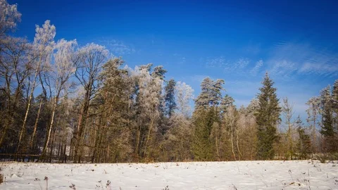 (4k) Time-lapse winter landscape with forest and pasture Stock Footage 72635331