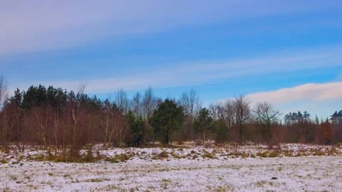 4k time lapse with winter scenery on meadows. Stock Footage 155797759