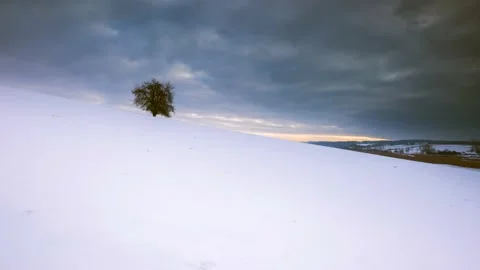 4k time lapse with winter snowy landscape. Empty snow field and trees. Vídeo Stock 154901356