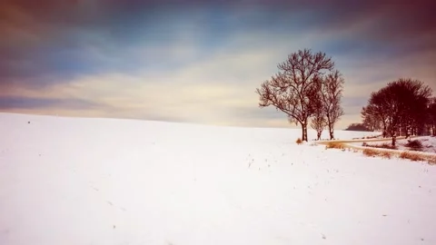 4k time lapse with winter snowy landscape. Empty snow field and trees. Stockbeeldmateriaal 155023508
