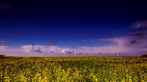 4k time lapse with yellow rape field and wind turbines under blue sky. Stock Footage 154423957
