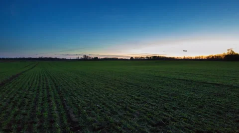 4k timelapse of after sunset sky over green young cereal field Stock Footage 60225685