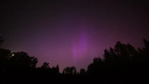 4k timelapse with aurora borealis over forest. Panning motion time lapse. Stock Footage 275522720