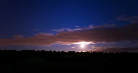 4K Timelapse with Beautiful Moonset over the Forest. Stock Footage 117912293