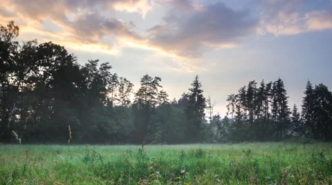 4k timelapse of beautiful sunset over foggy meadow in Poland. Stock Footage 64427468
