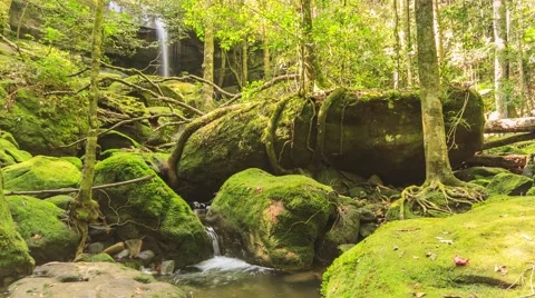 4K Timelapse : Beautiful waterfall in forest at Phu Kradueng National Park. Stock Footage 61098112