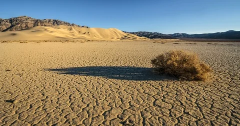 4K Timelapse of bush and shadow at Eureka Dunes Stock Footage 89421491