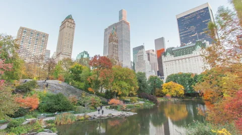 4K Timelapse of the Central Park, Manhattan, New York Video stock 58497572