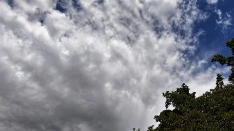 4K Timelapse Cinematic Storm Clouds Gathering Over Foreground Tree Stock Footage 336526856