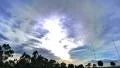 4K Timelapse Clouds 12 Forest 4k or 4k+ Resolution