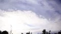4K Timelapse Clouds 88 Tilt Up Park 4k or 4k+ Resolution