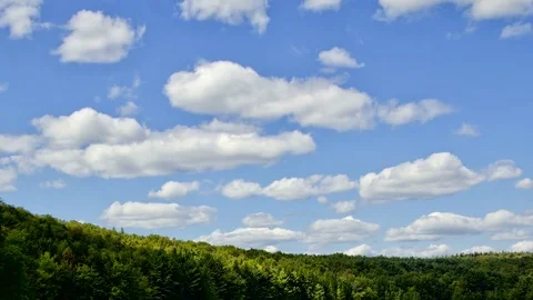 4K Timelapse of Clouds Casting Shadows on Trees 動画素材 71166012