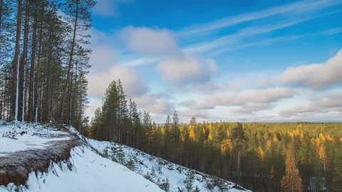 4K Timelapse clouds. Forest sunny autumn day 스톡 동영상 117303077